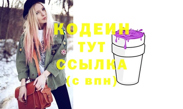 спиды Няндома