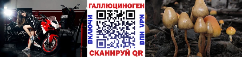 shop клад  Аксай  Псилоцибиновые грибы ЛСД  купить наркотик 